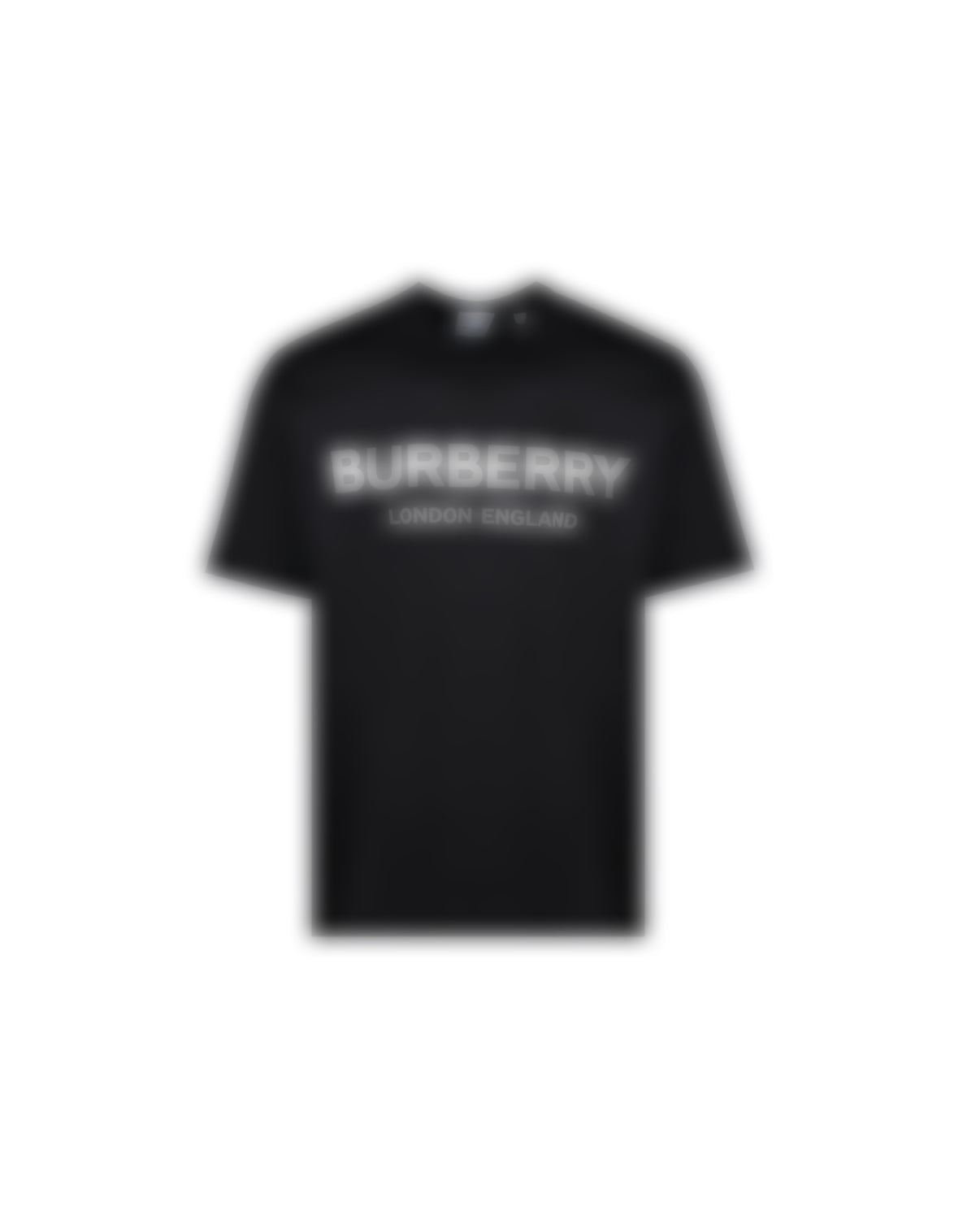 BUR-3000