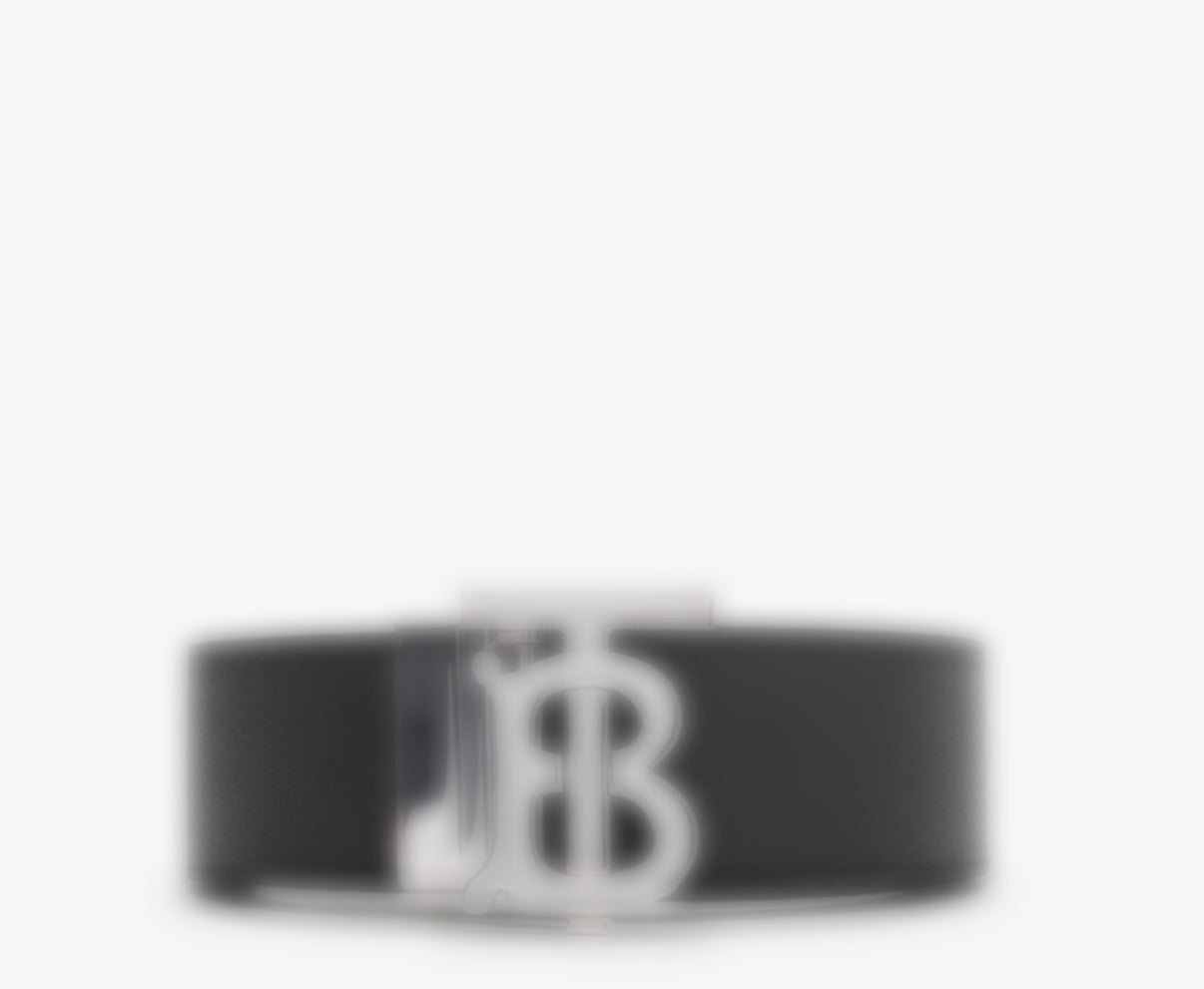 BUR-3000