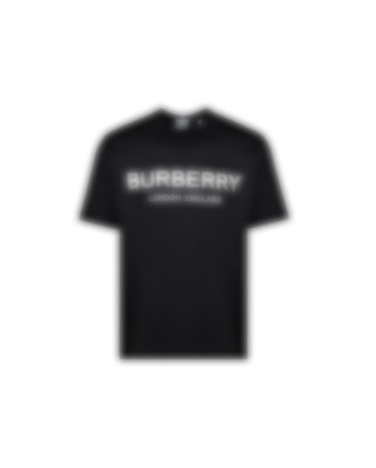 BUR-3000