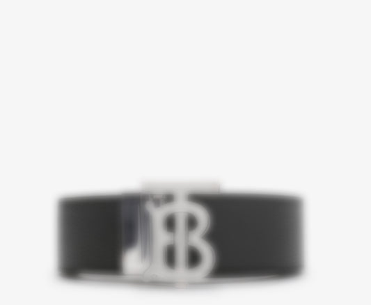 BUR-3000